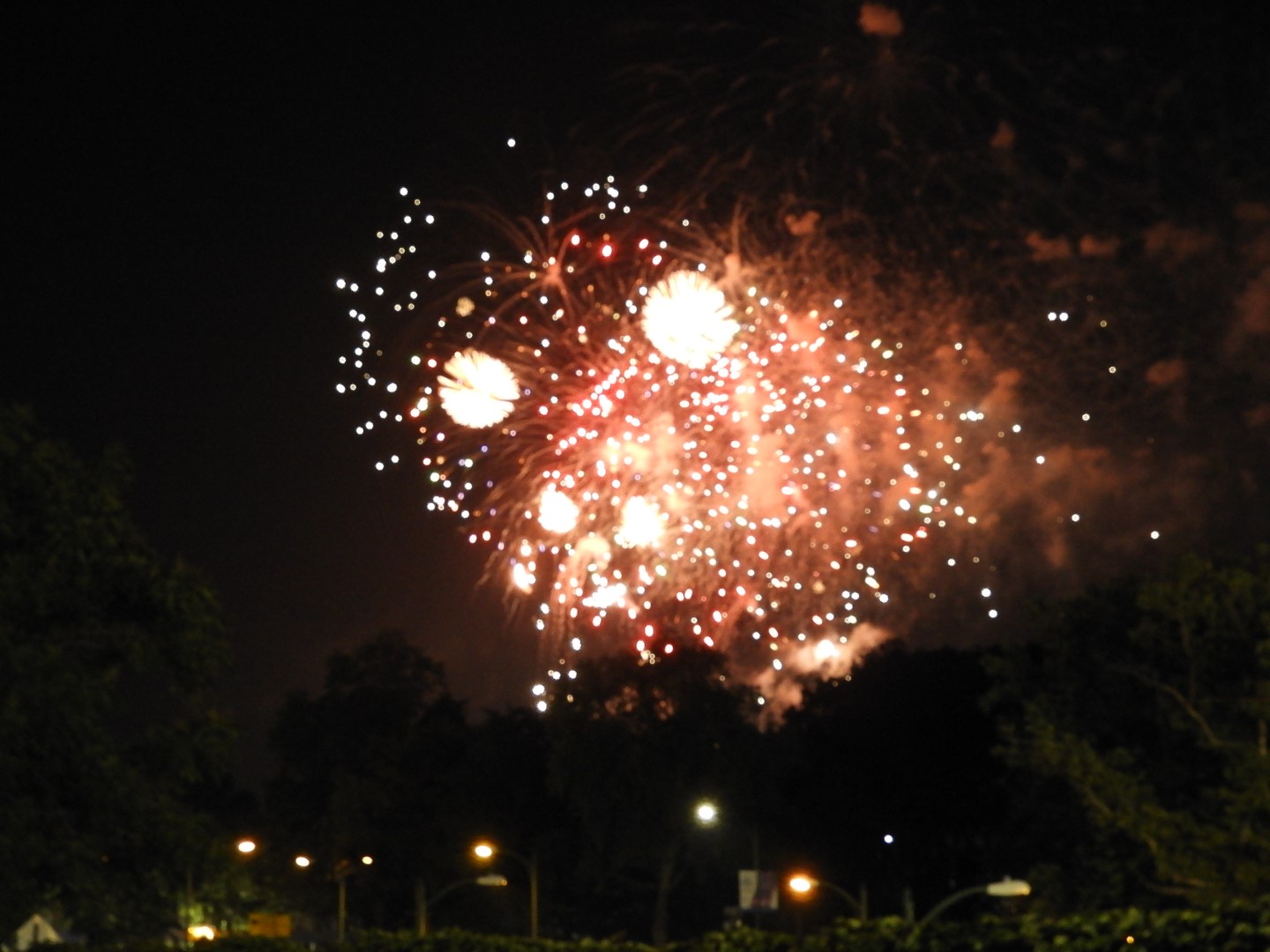 Fireworks in Boston MA 30 of 65 (#9476)
