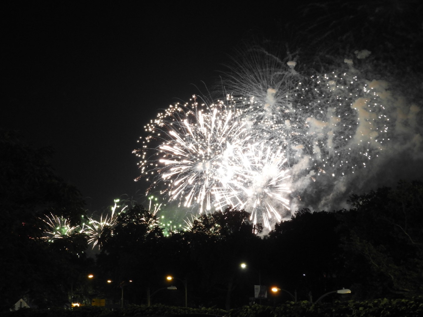 Fireworks in Boston MA 33 of 65 (#9479)