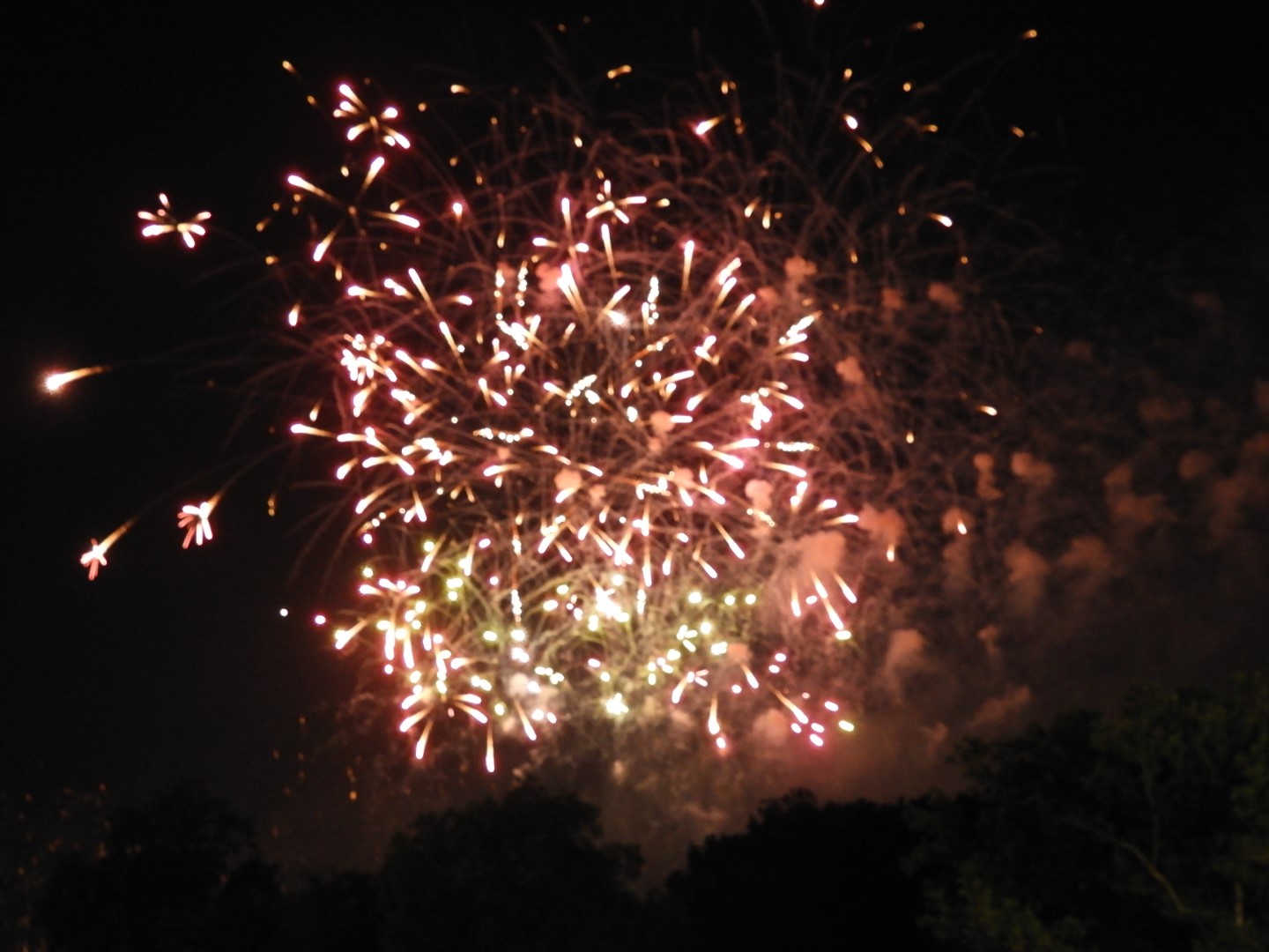 Fireworks in Boston MA 36 of 65 (#9482)