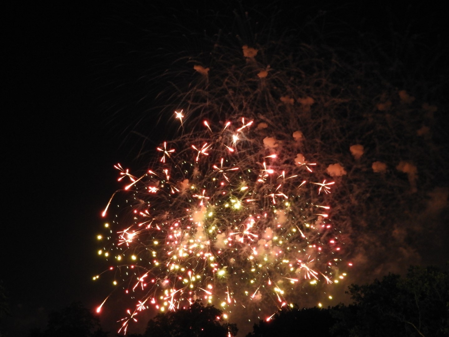 Fireworks in Boston MA 40 of 65 (#9486)