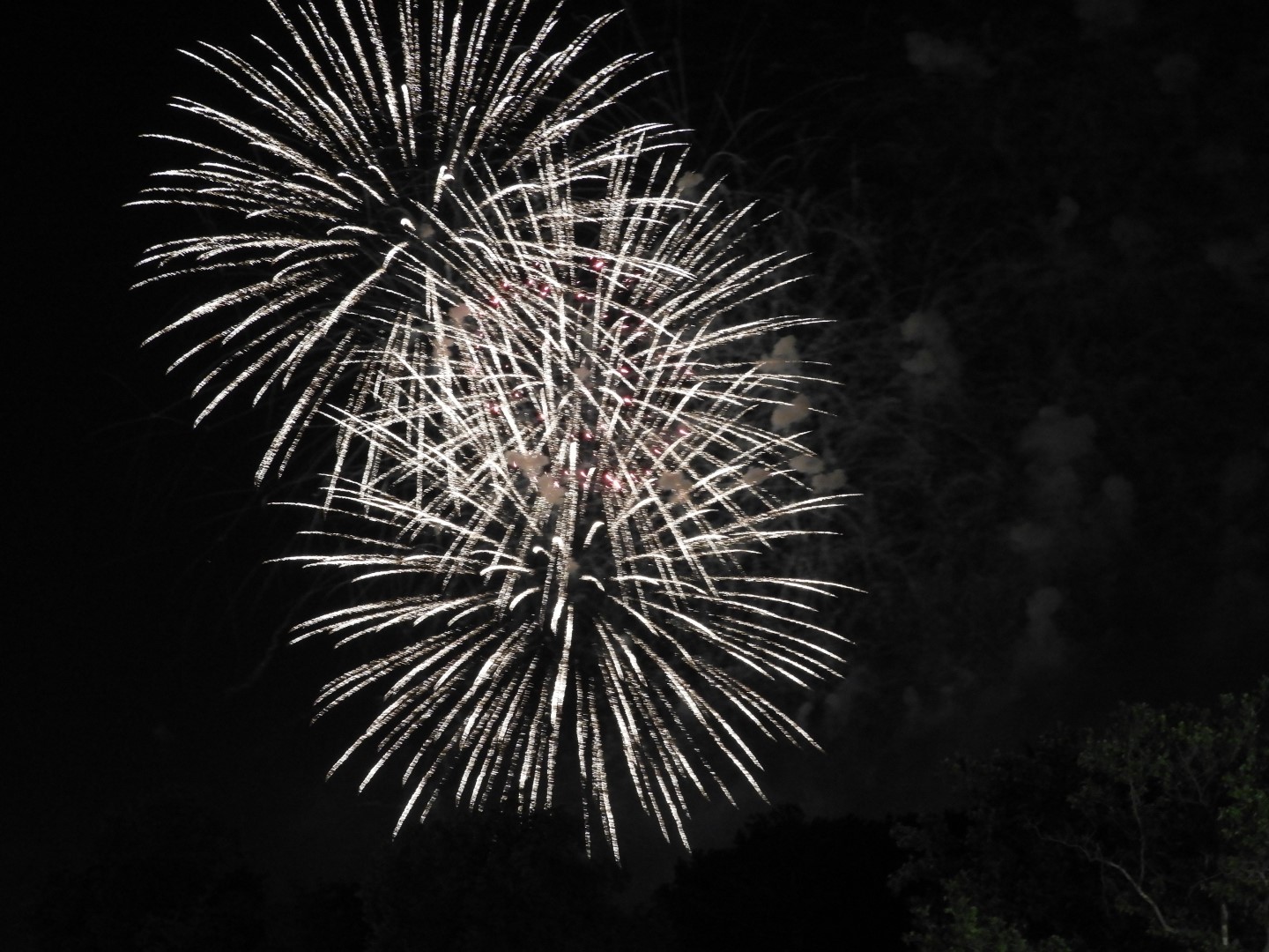 Fireworks in Boston MA 44 of 65 (#9490)