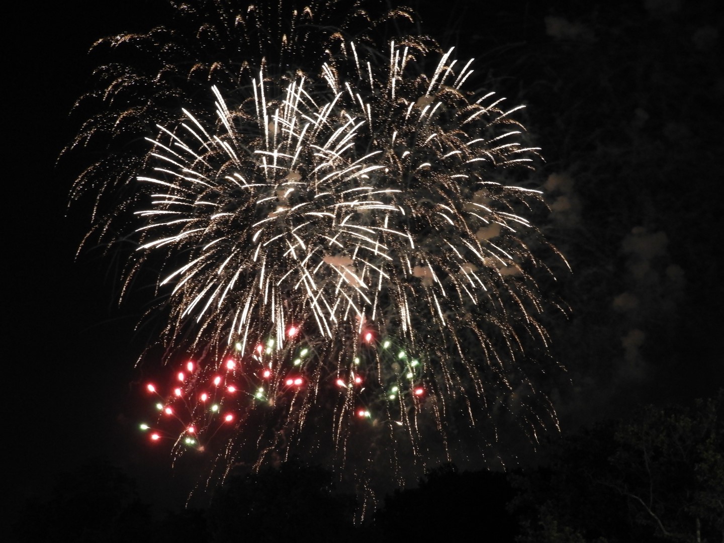 Fireworks in Boston MA 45 of 65 (#9491)