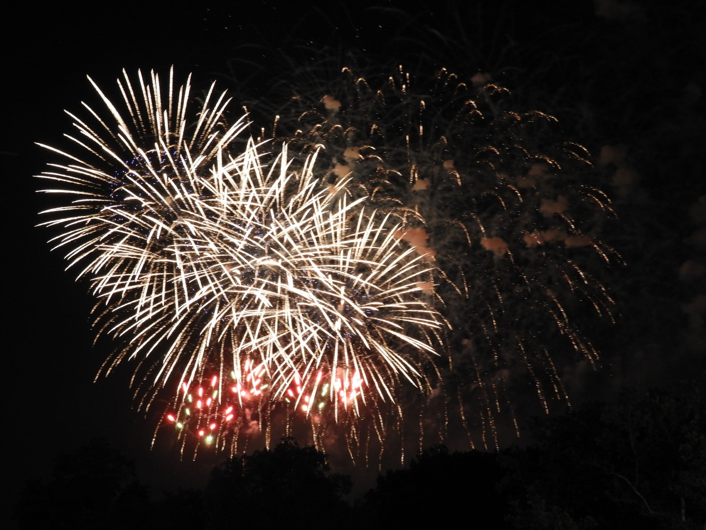 Fireworks in Boston MA 47 of 65 (#9493)