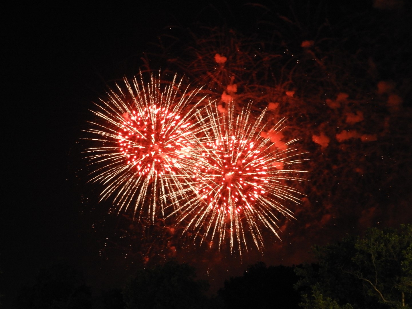 Fireworks in Boston MA 48 of 65 (#9494)