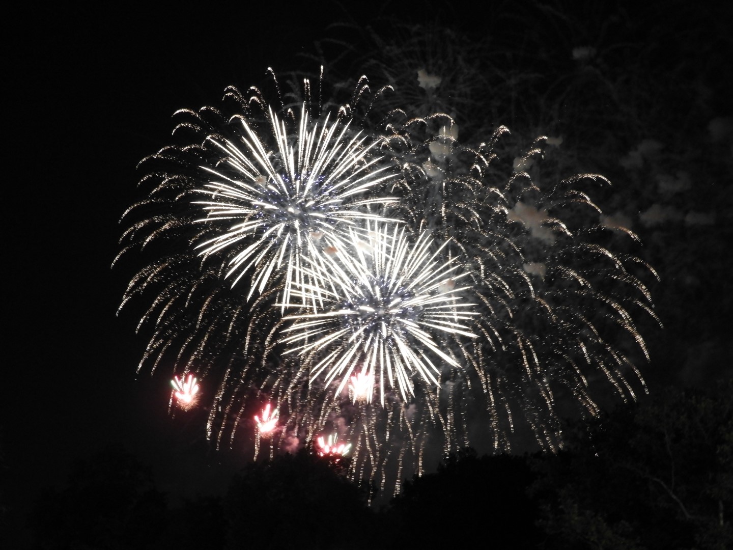 Fireworks in Boston MA 49 of 65 (#9495)