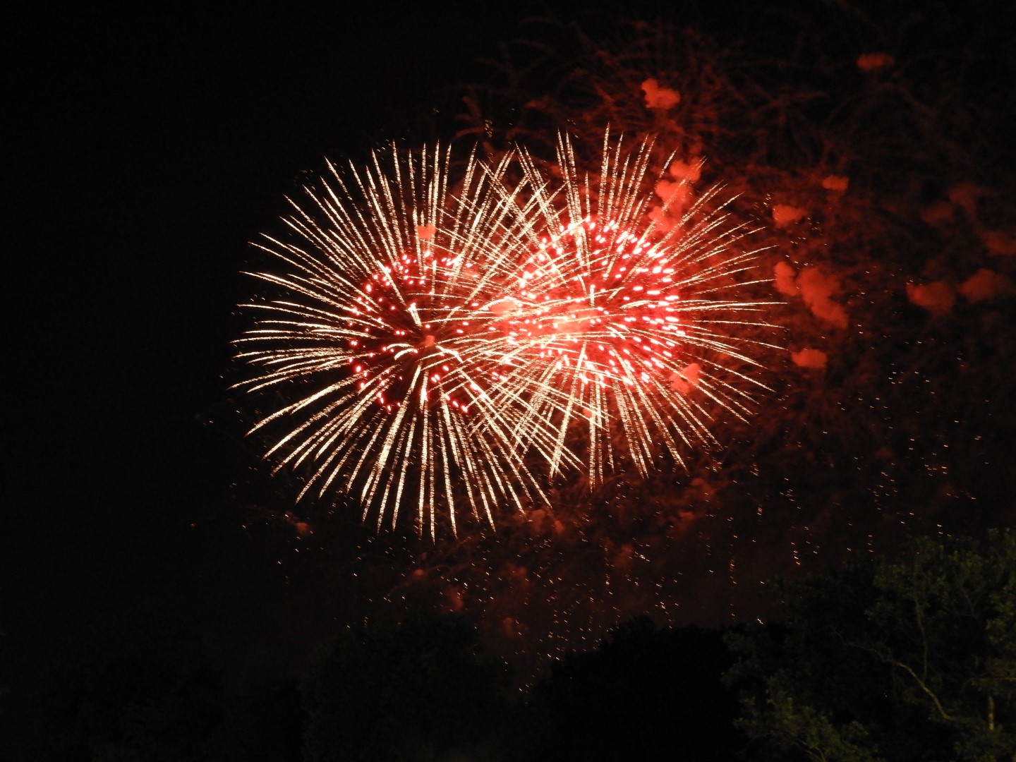Fireworks in Boston MA 50 of 65 (#9496)