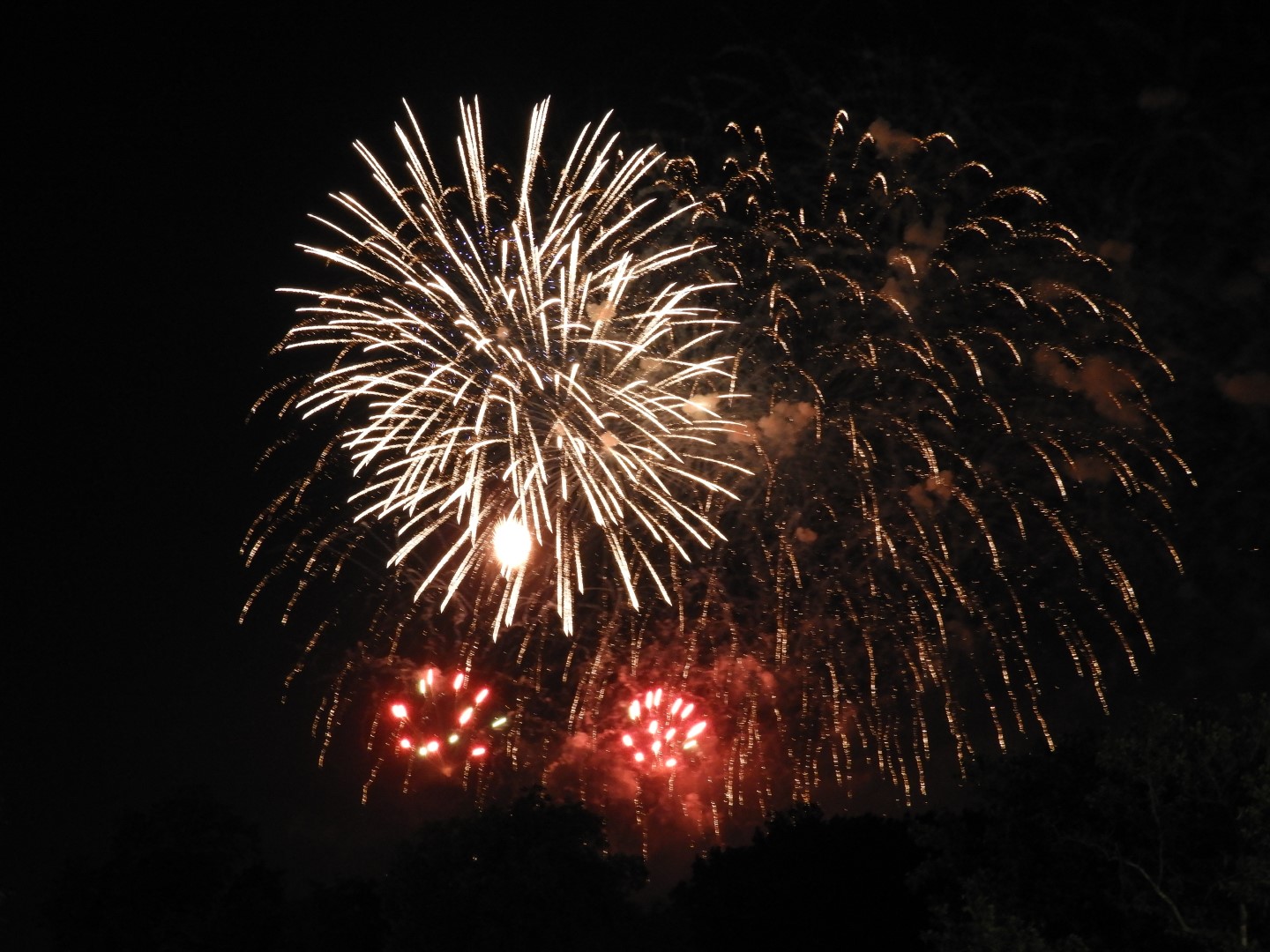 Fireworks in Boston MA 51 of 65 (#9497)