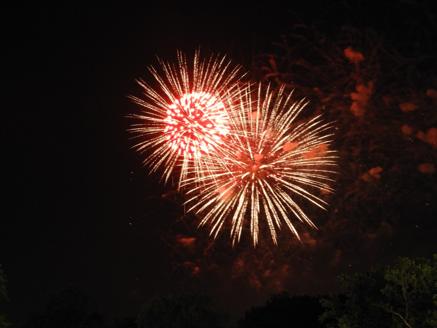 Fireworks in Boston MA 52 of 65 (#9498)