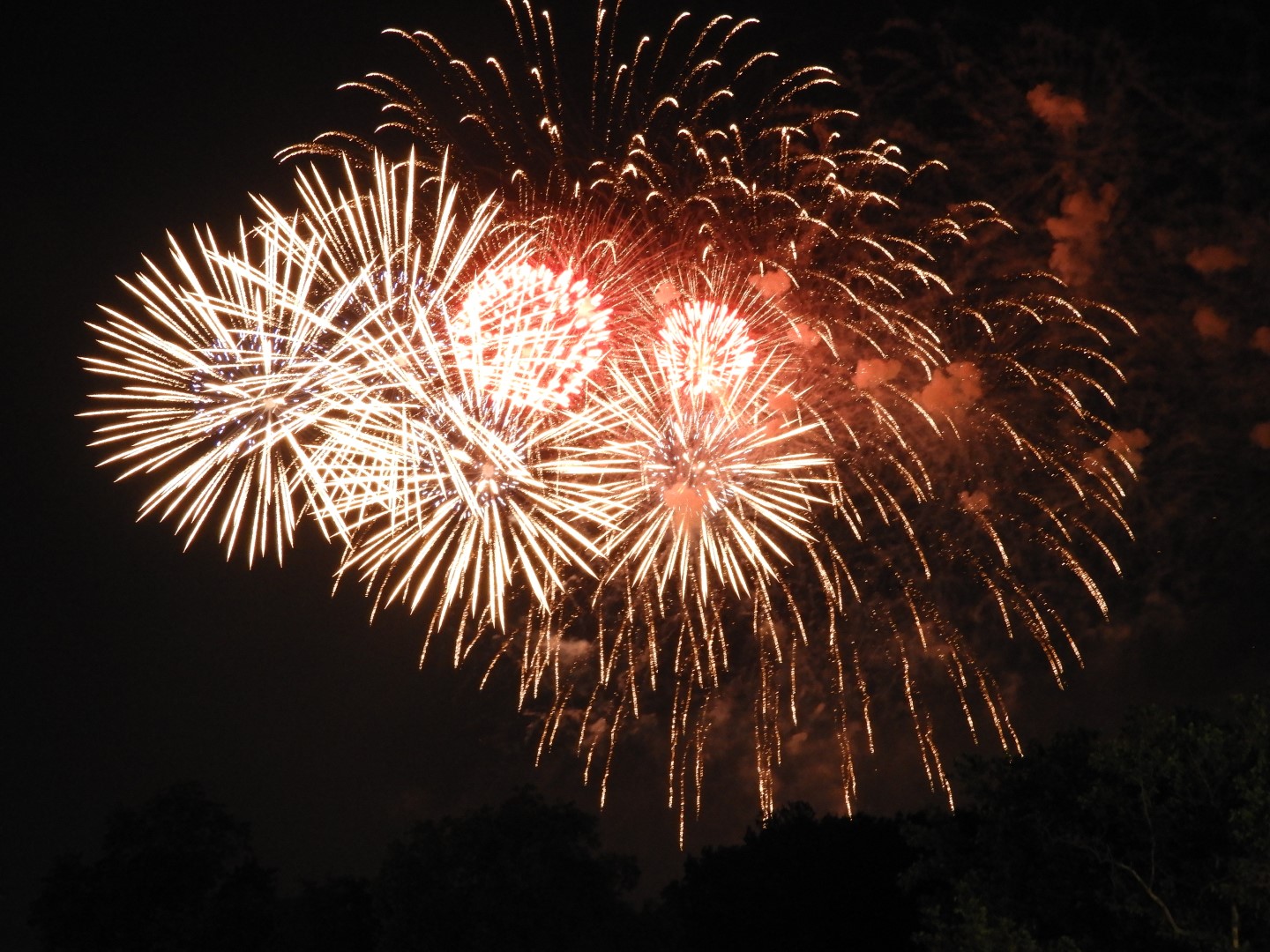 Fireworks in Boston MA 53 of 65 (#9499)