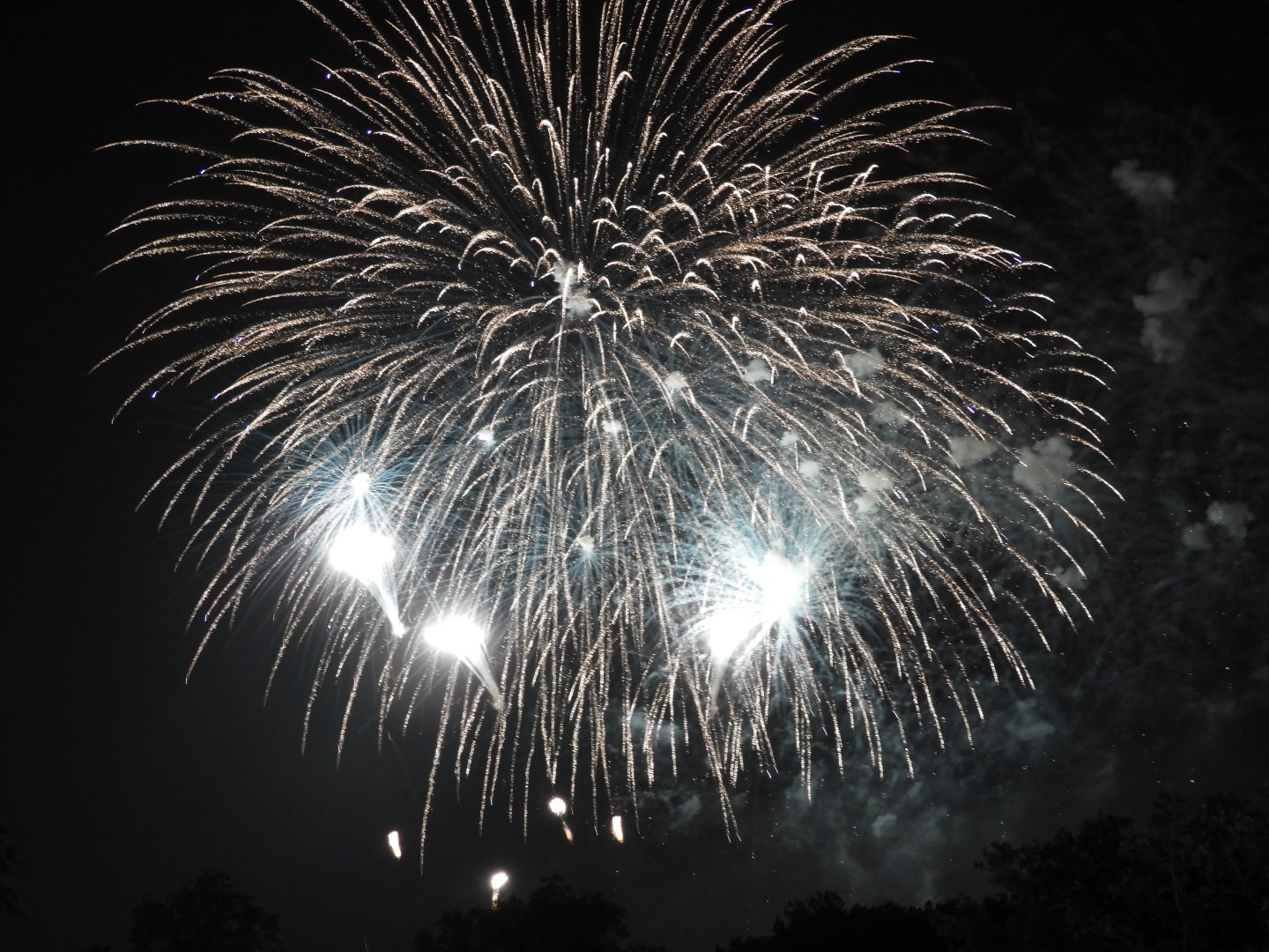 Fireworks in Boston MA 54 of 65 (#9500)