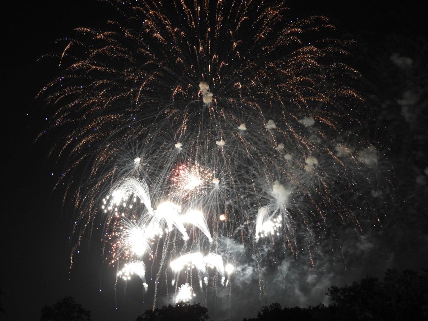 Fireworks in Boston MA 55 of 65 (#9501)