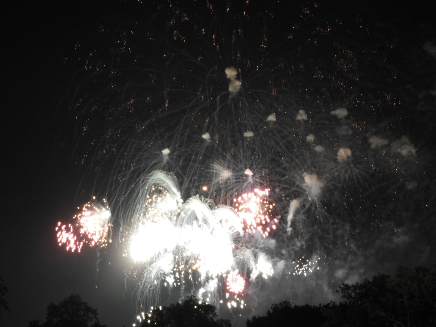 Fireworks in Boston MA 56 of 65 (#9502)