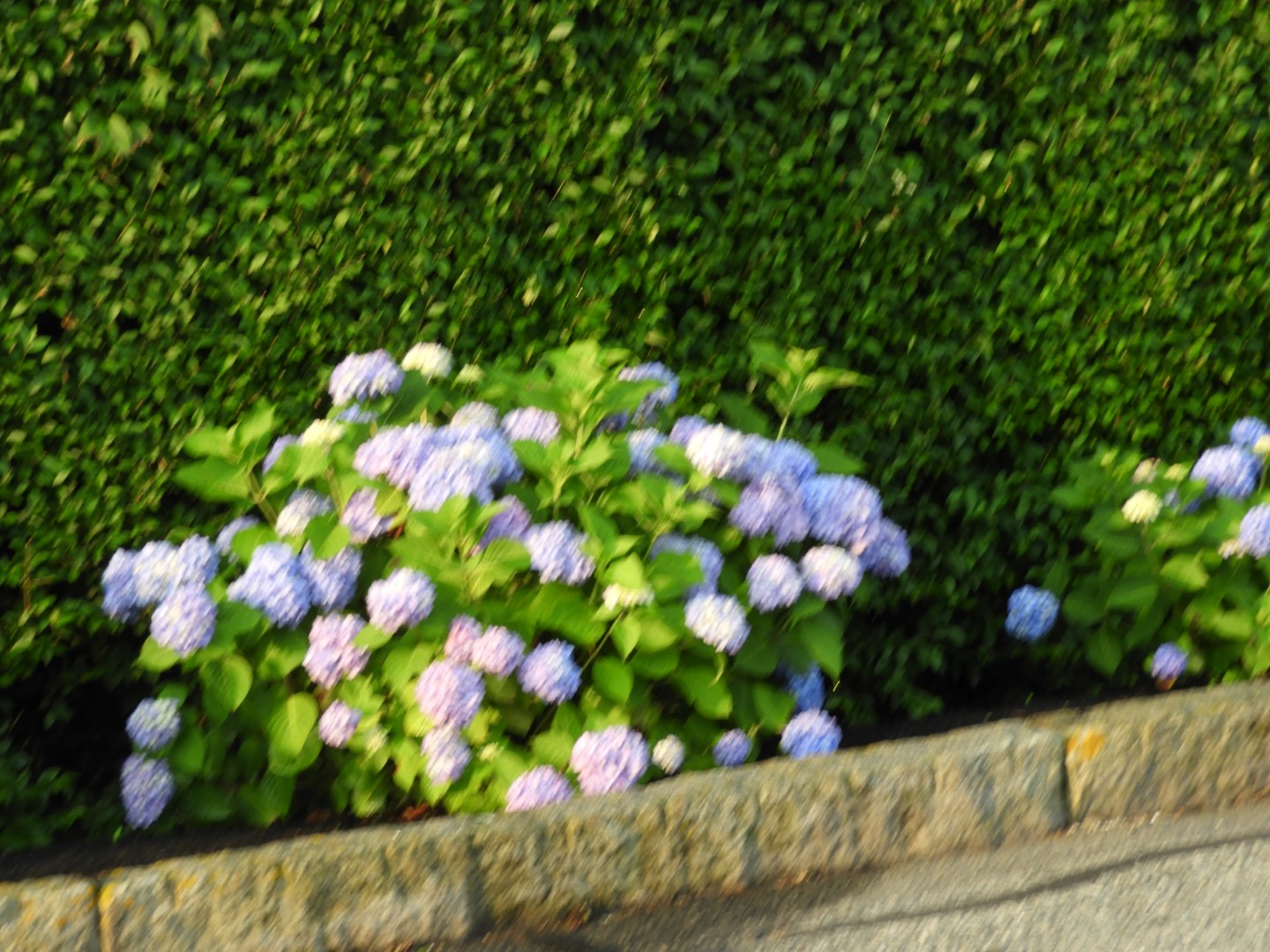 Kennedy Compound in Hyannis MA and nearby sites 5 of  7 (#9516)