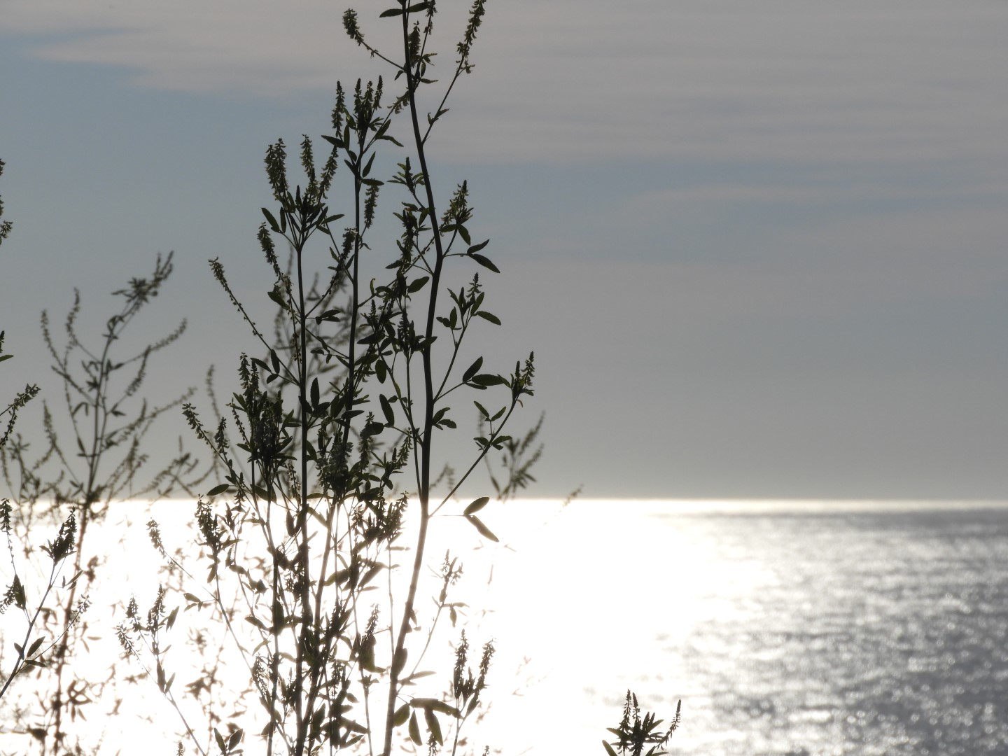 Beach near Three Sisters Lighthouse near Cape Cod National Seashore near Eastham MA 2 of  9 (#9530)