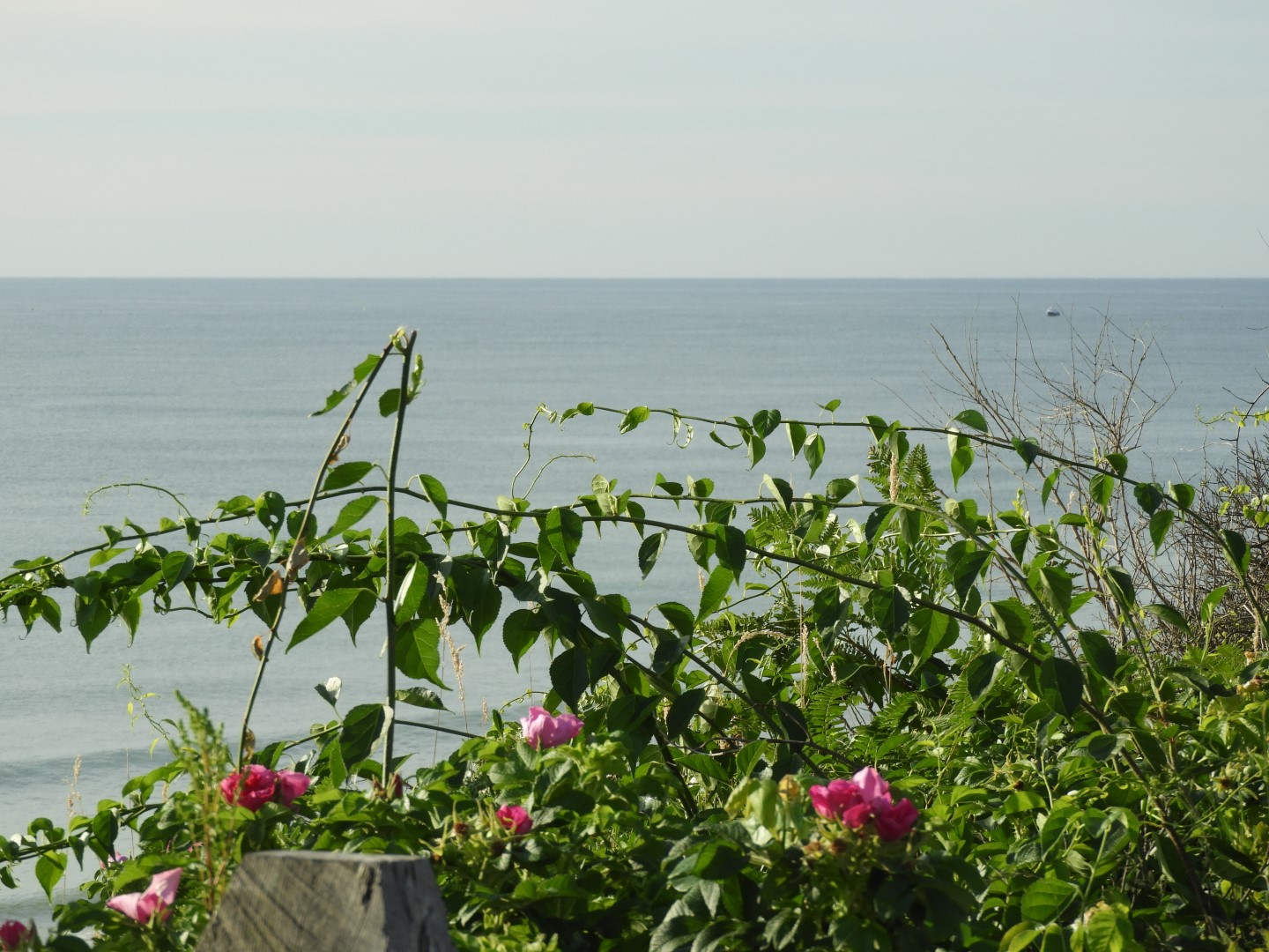 Beach near Three Sisters Lighthouse near Cape Cod National Seashore near Eastham MA 6 of  9 (#9535)