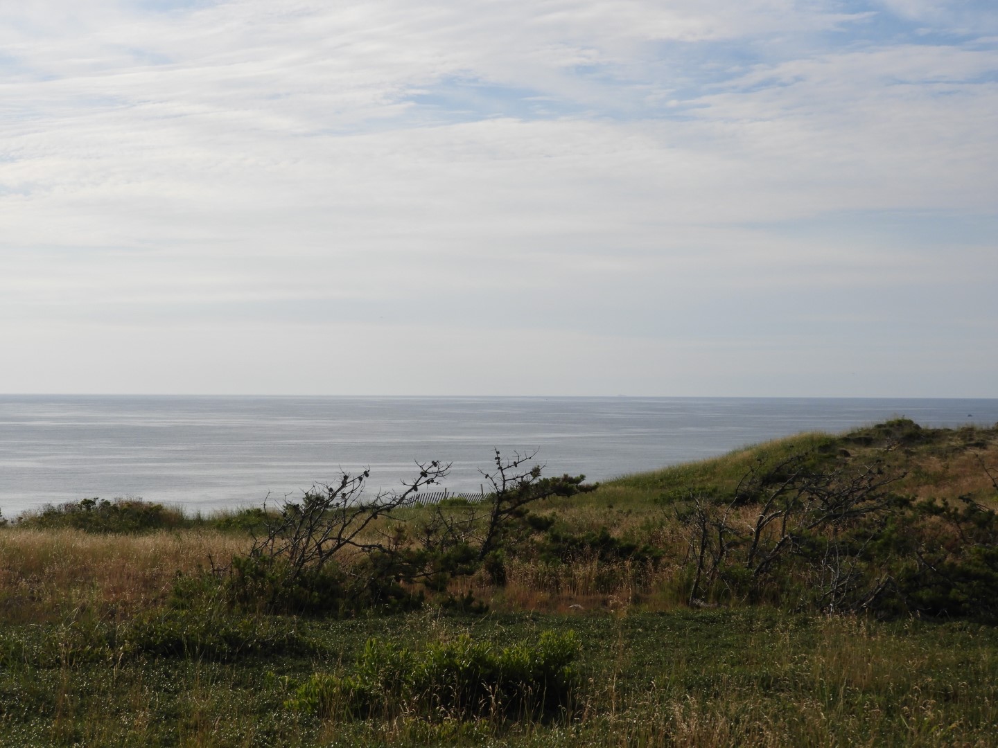 Cape Cod National Seashore at Wellfleet MA 5 of 25 (#9548)