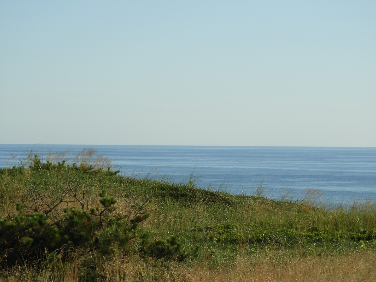 Cape Cod National Seashore at Wellfleet MA 8 of 25 (#9551)