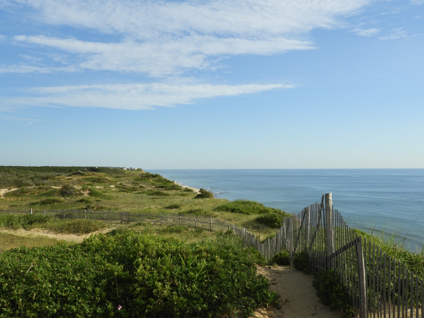 Cape Cod National Seashore at Wellfleet MA 9 of 25 (#9553)