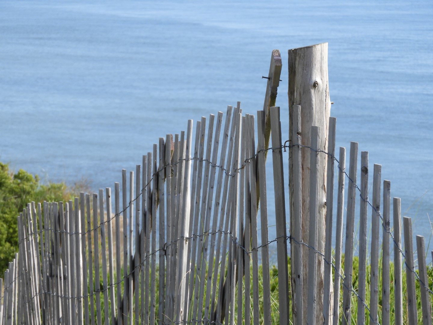 Cape Cod National Seashore at Wellfleet MA 11 of 25 (#9555)