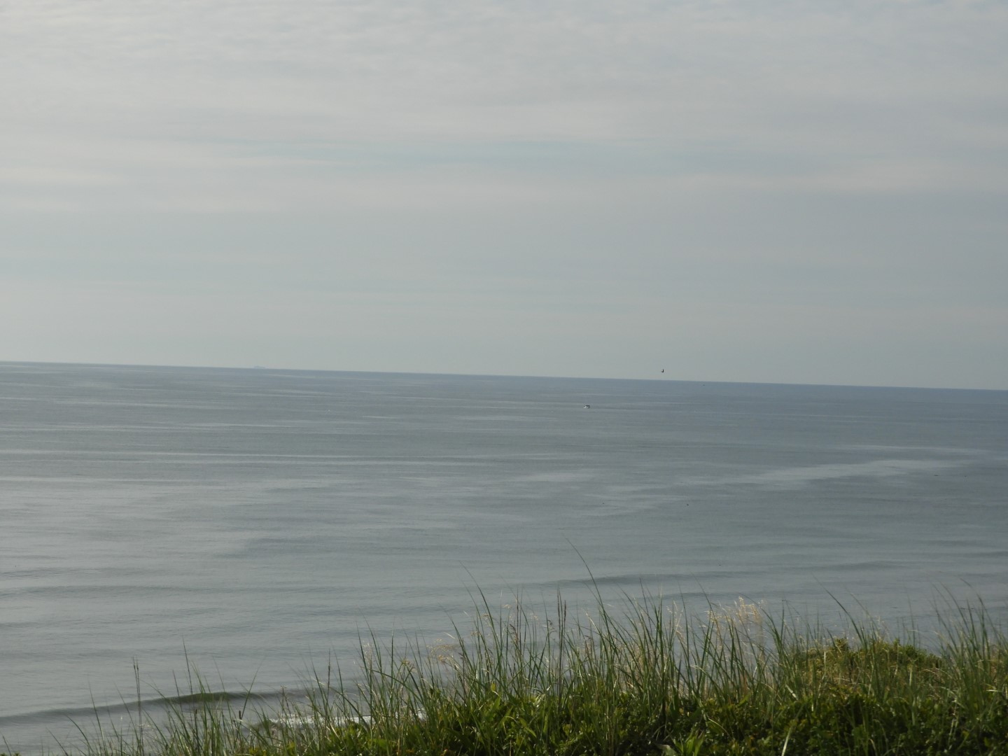 Cape Cod National Seashore at Wellfleet MA 12 of 25 (#9556)