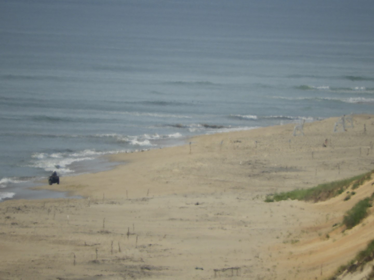 Cape Cod National Seashore at Wellfleet MA 15 of 25 (#9560)