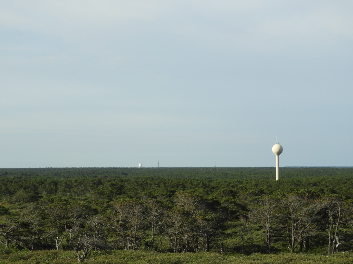 Cape Cod National Seashore at Wellfleet MA 20 of 25 (#9565)