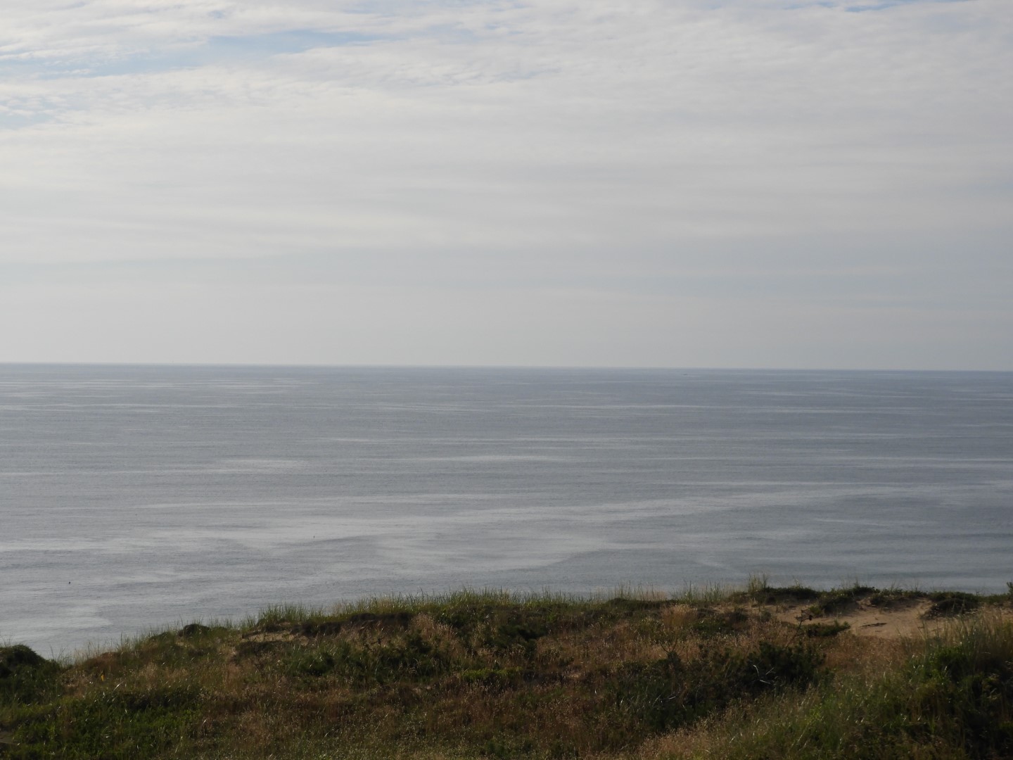 Cape Cod National Seashore at Wellfleet MA 21 of 25 (#9566)