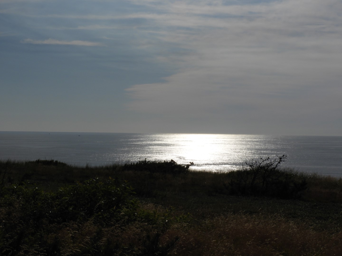 Cape Cod National Seashore at Wellfleet MA 25 of 25 (#9570)