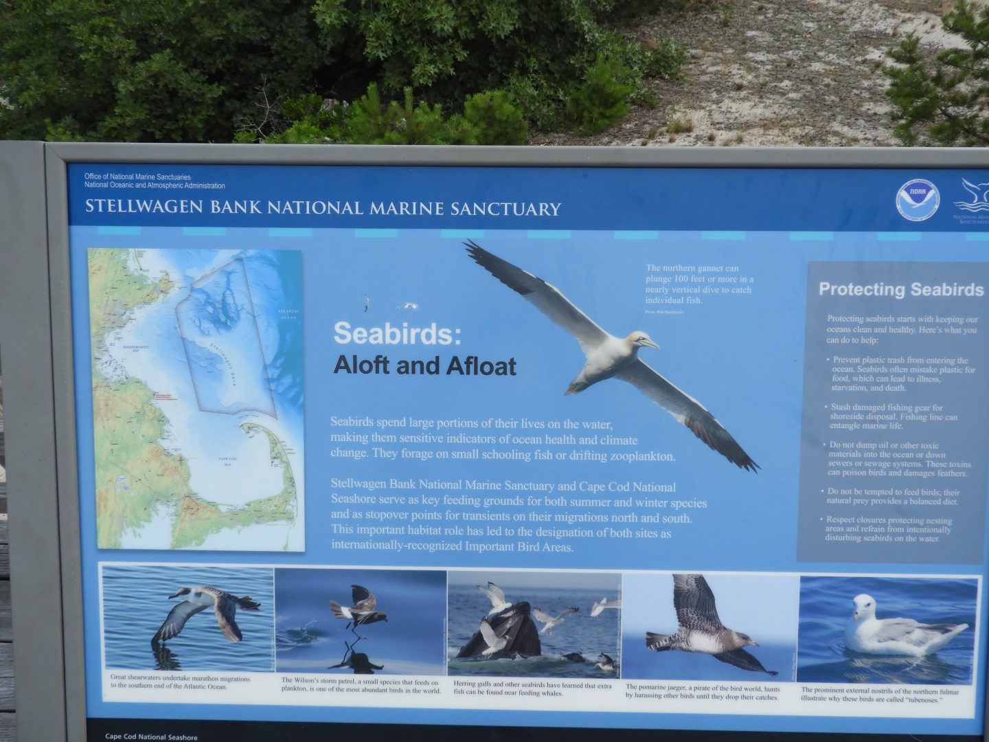 Province Land Visitor Center of Race Point in Provincetown MA 6 of 12 (#9580)