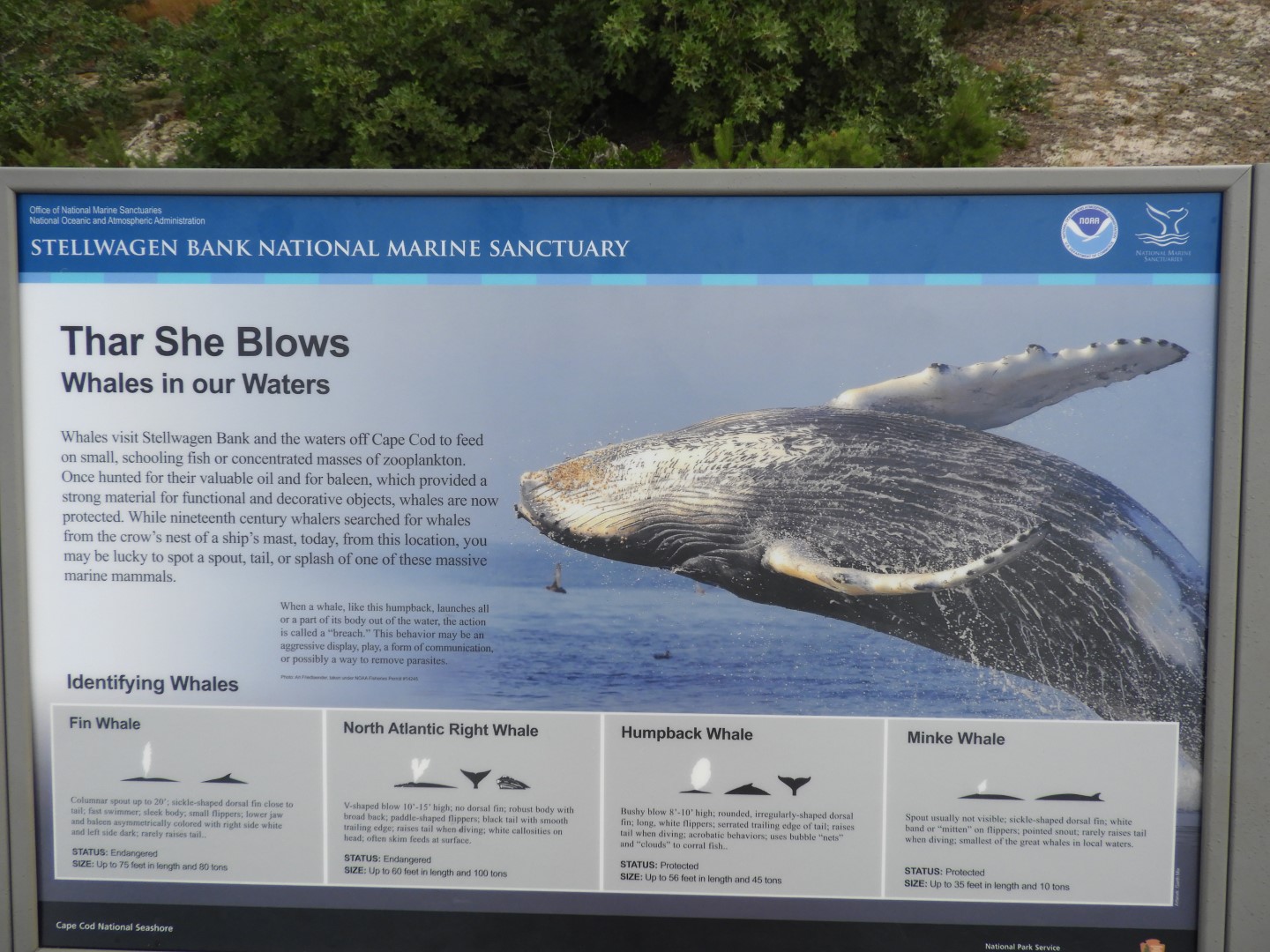 Province Land Visitor Center of Race Point in Provincetown MA 7 of 12 (#9581)