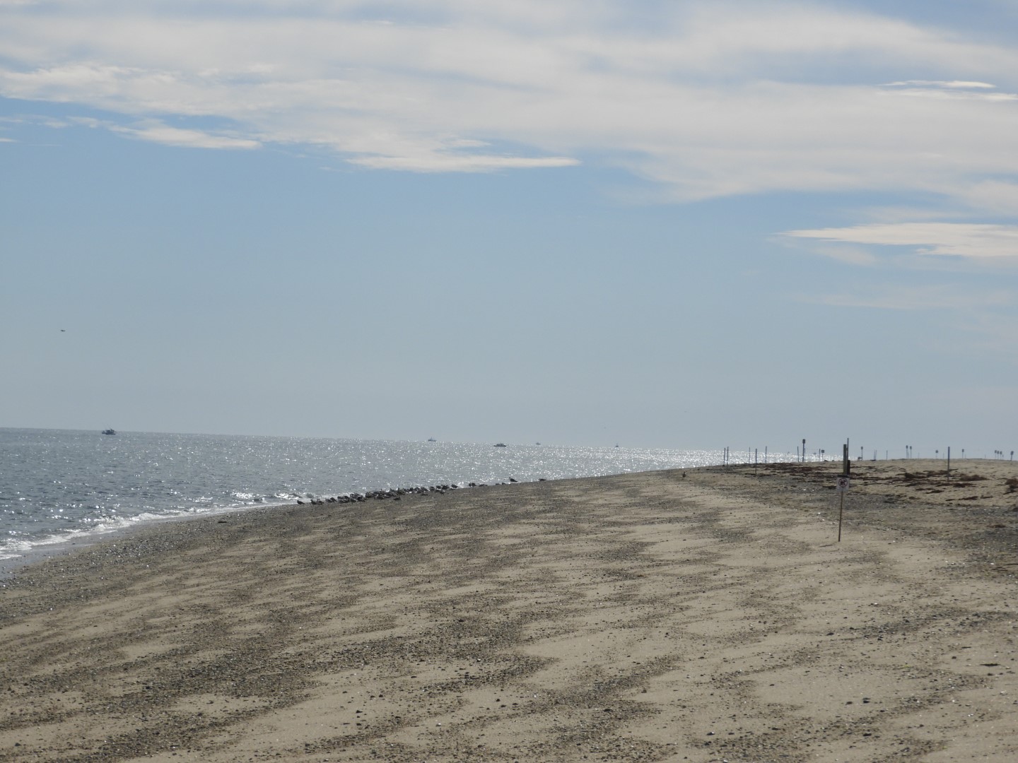 Beach near the Province Lands National Seashore RacePoint Visitor Center in Provincetown MA 7 of 10 (#9596)