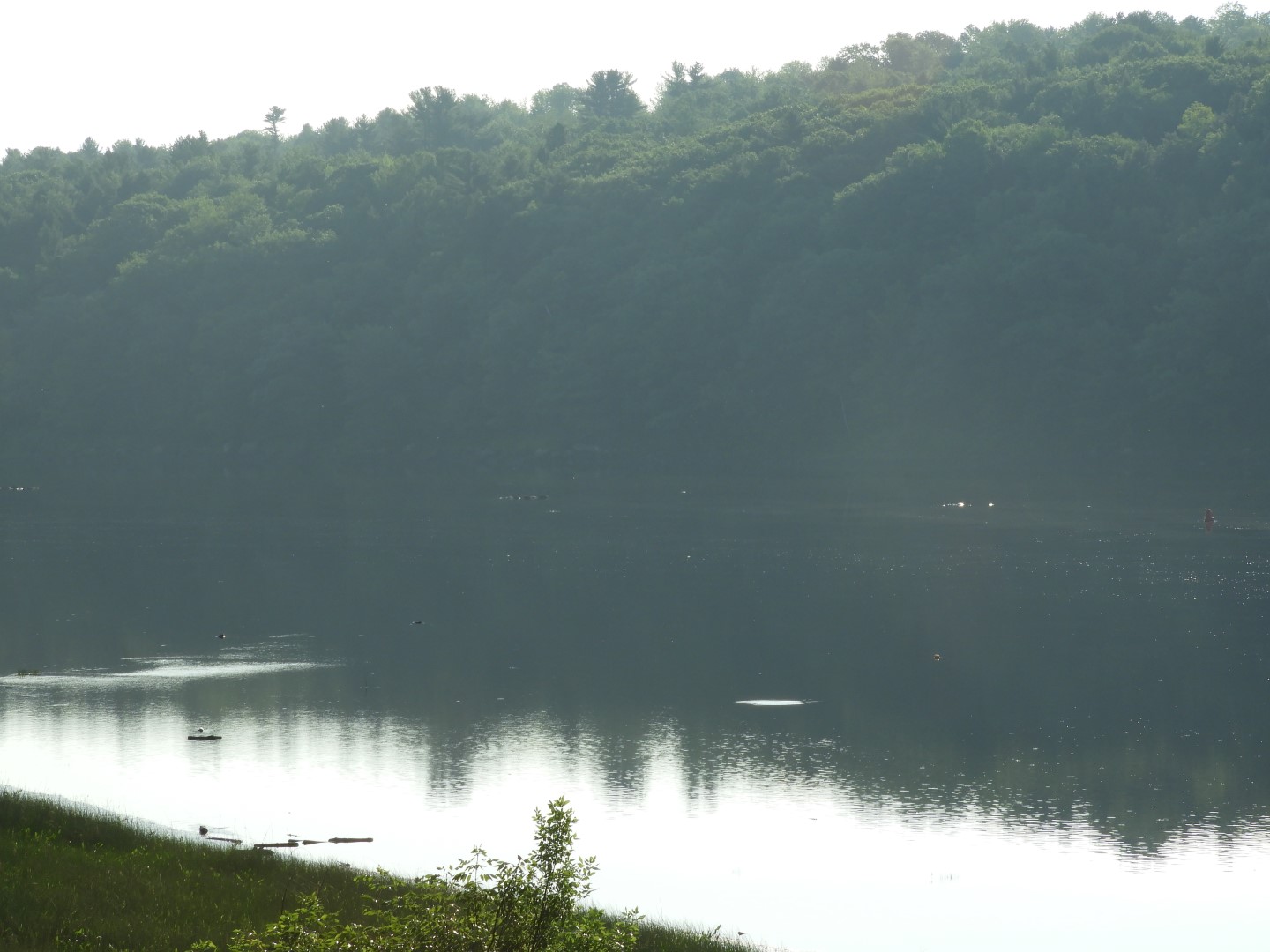 Near the State Capitol ME 3 of  3 (#9610)