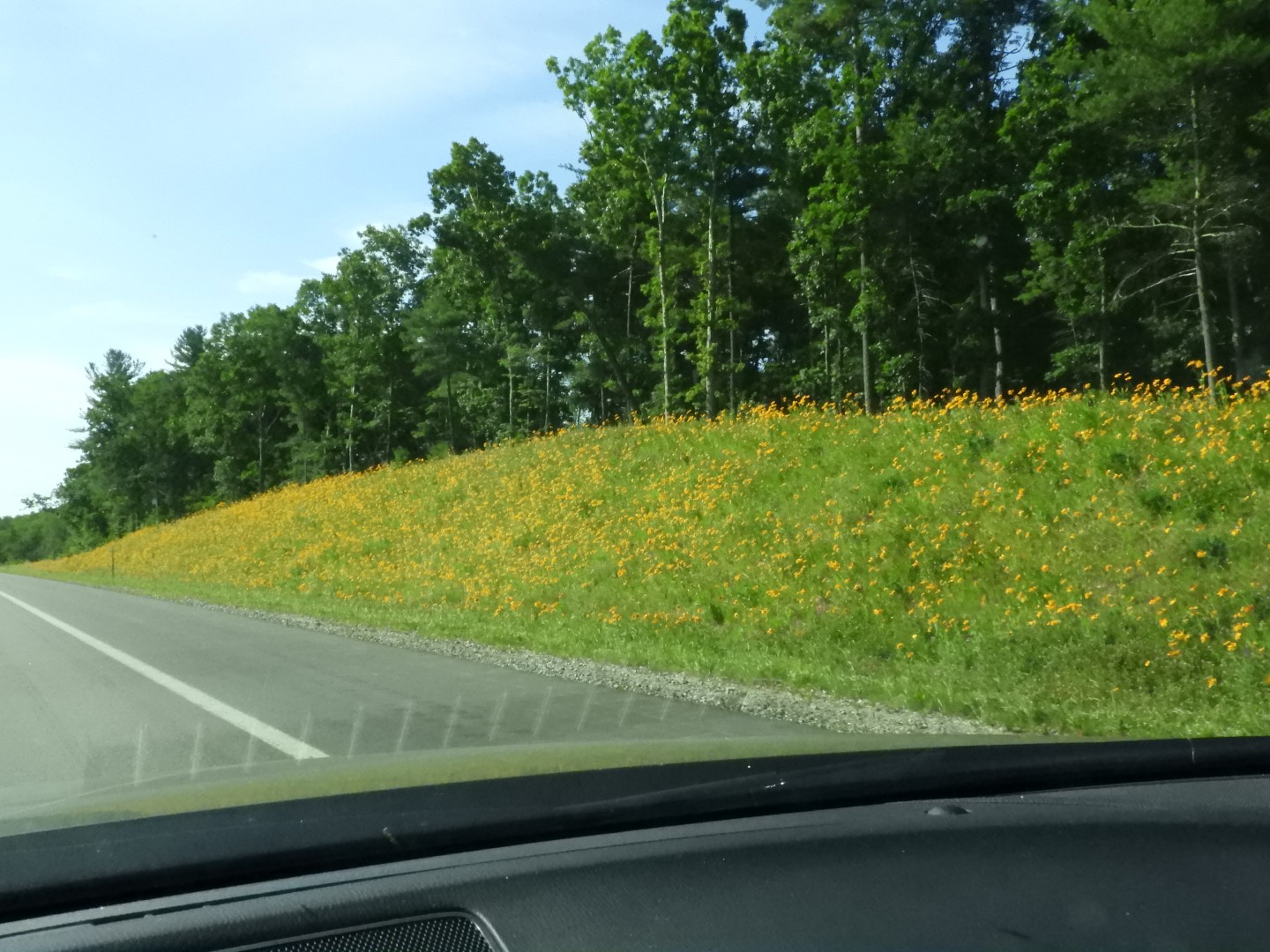 Sites of Concord NH 15 of 16 (#9667)