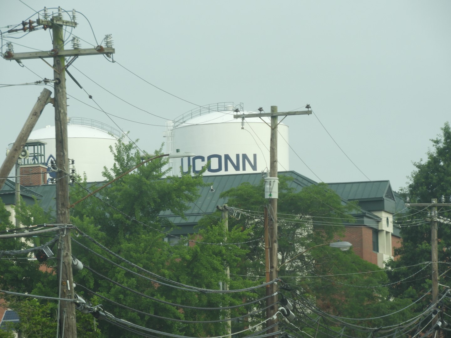 University of Connecticut in Mansfield CT 2 of  4 (#9766)