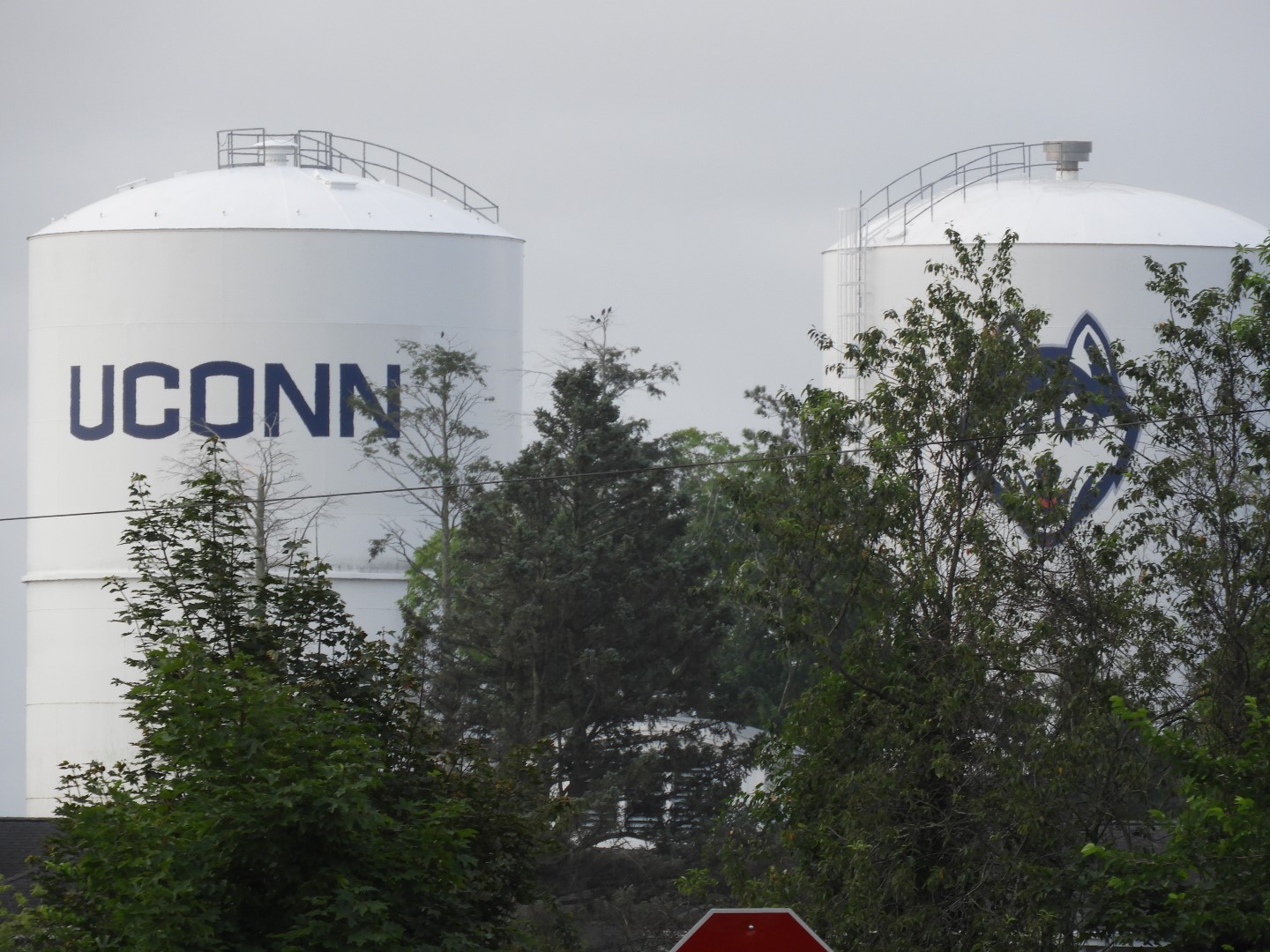 University of Connecticut in Mansfield CT 3 of  4 (#9767)