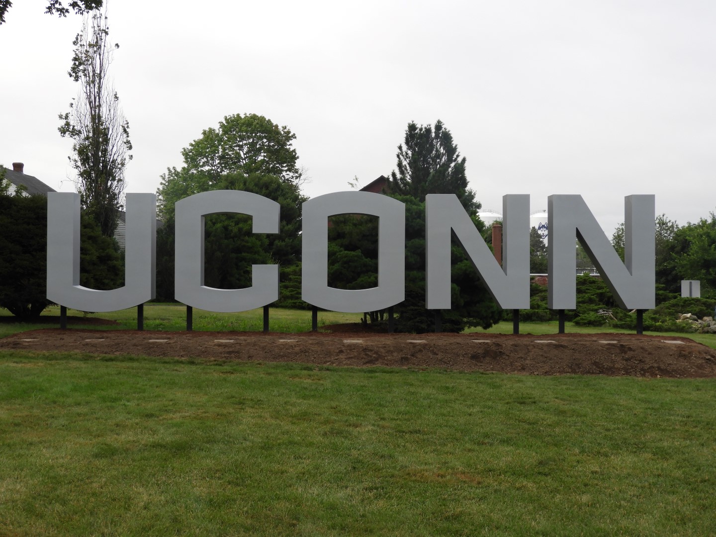 University of Connecticut in Mansfield CT 4 of  4 (#9768)