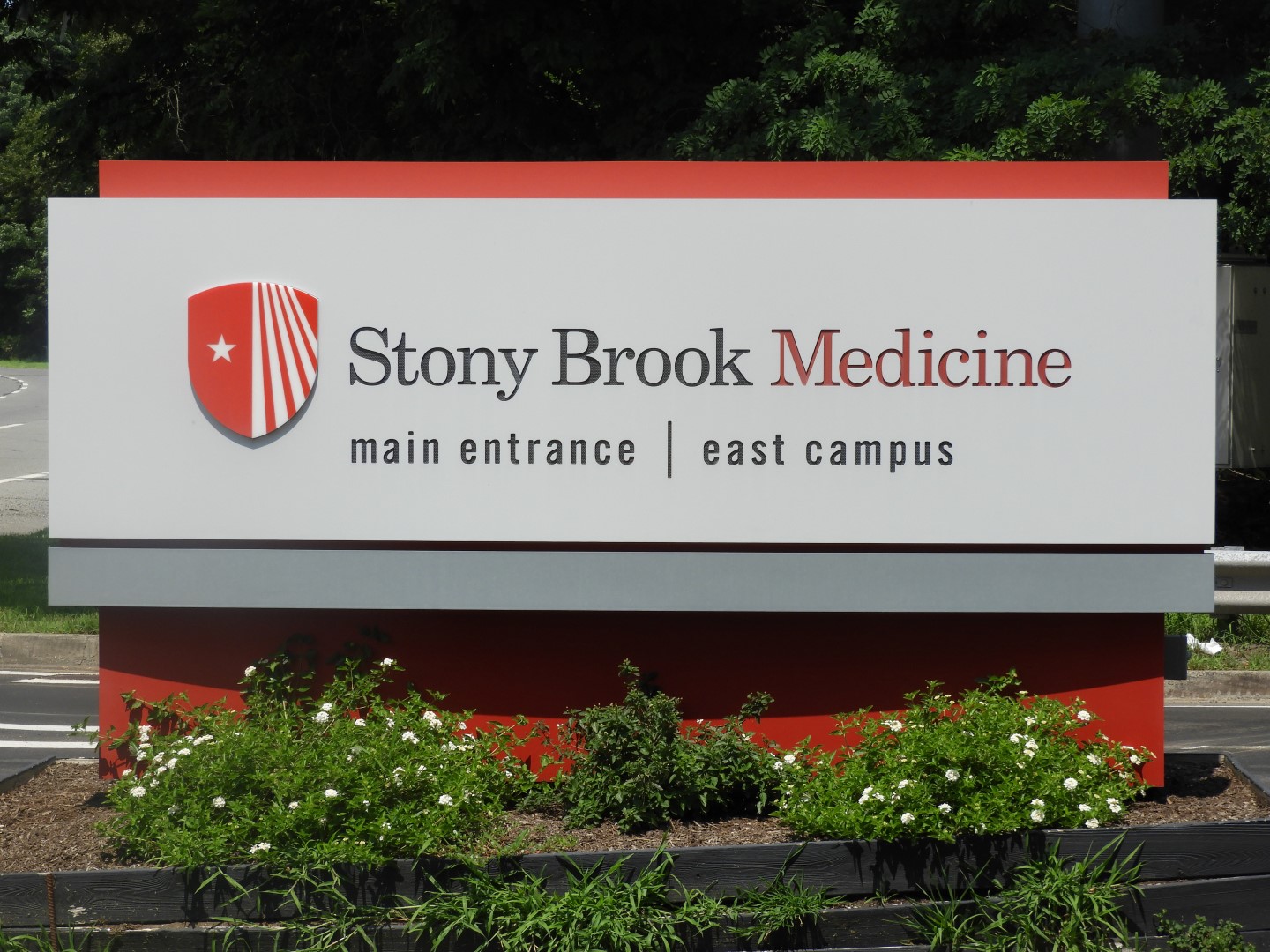 Stony Brook University NY 1 of  5 (#9806)