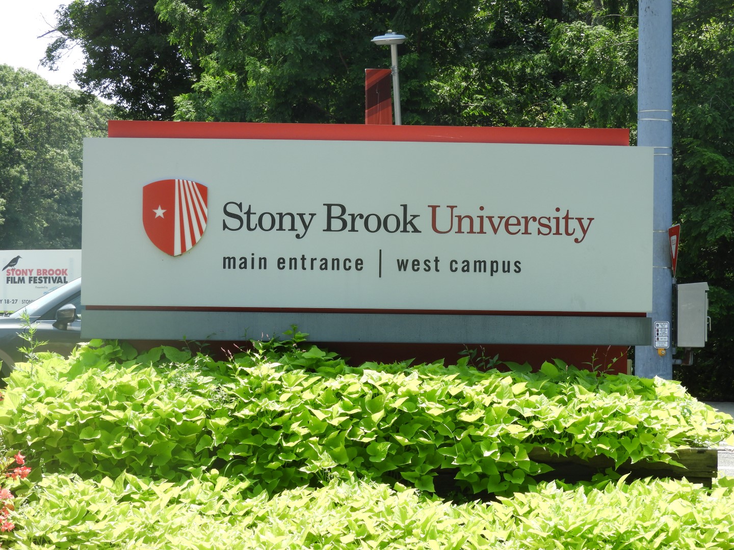 Stony Brook University NY 2 of  5 (#9807)