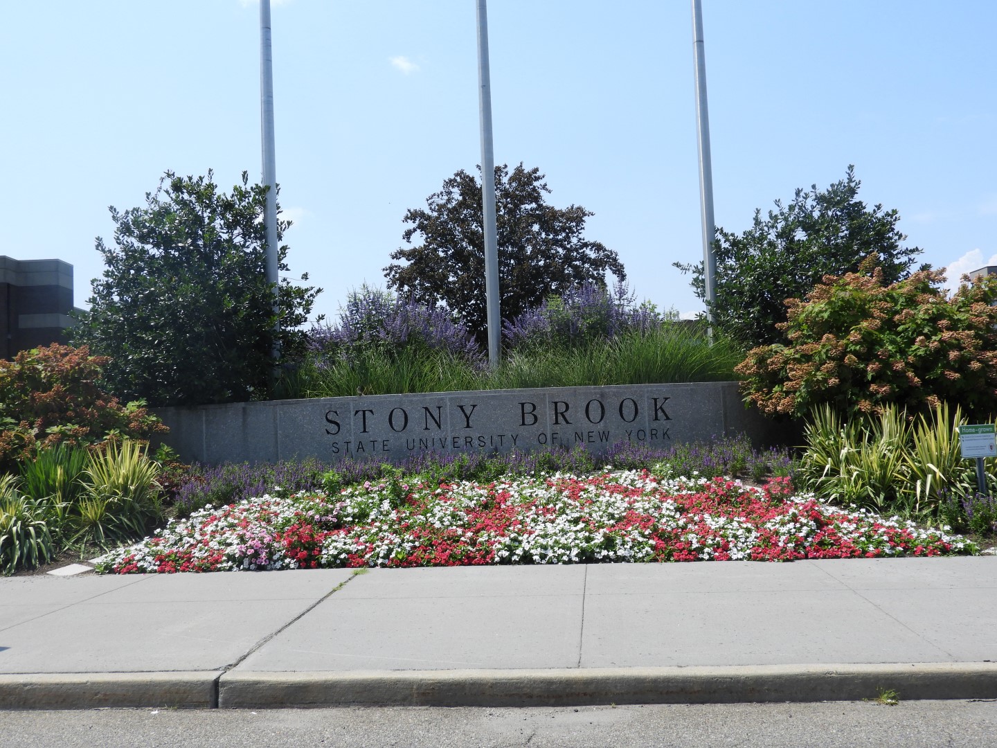 Stony Brook University NY 5 of  5 (#9811)