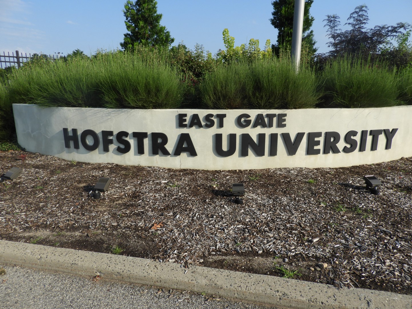 Hofstra University at Hempstead NY 1 of  6 (#9813)