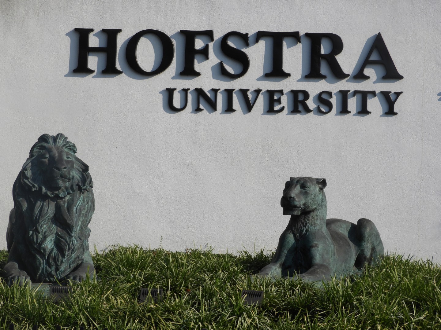Hofstra University at Hempstead NY 6 of  6 (#9818)