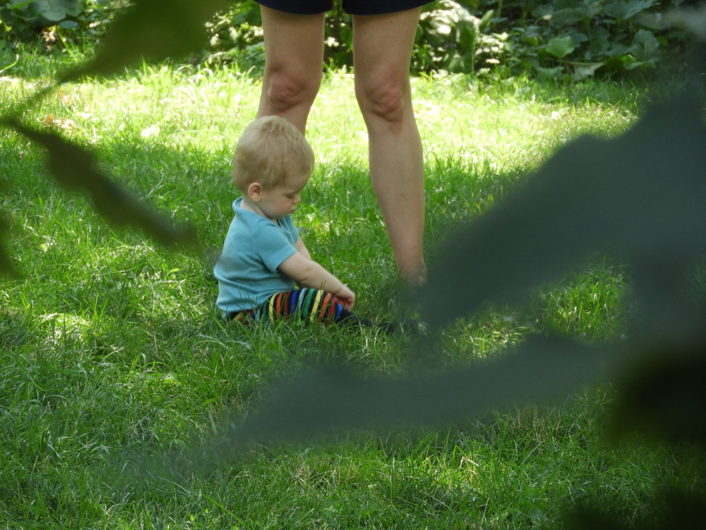 People in the park around the Hamilton-Grange National Historic Home in New York City NY 5 of  6 (#9841)