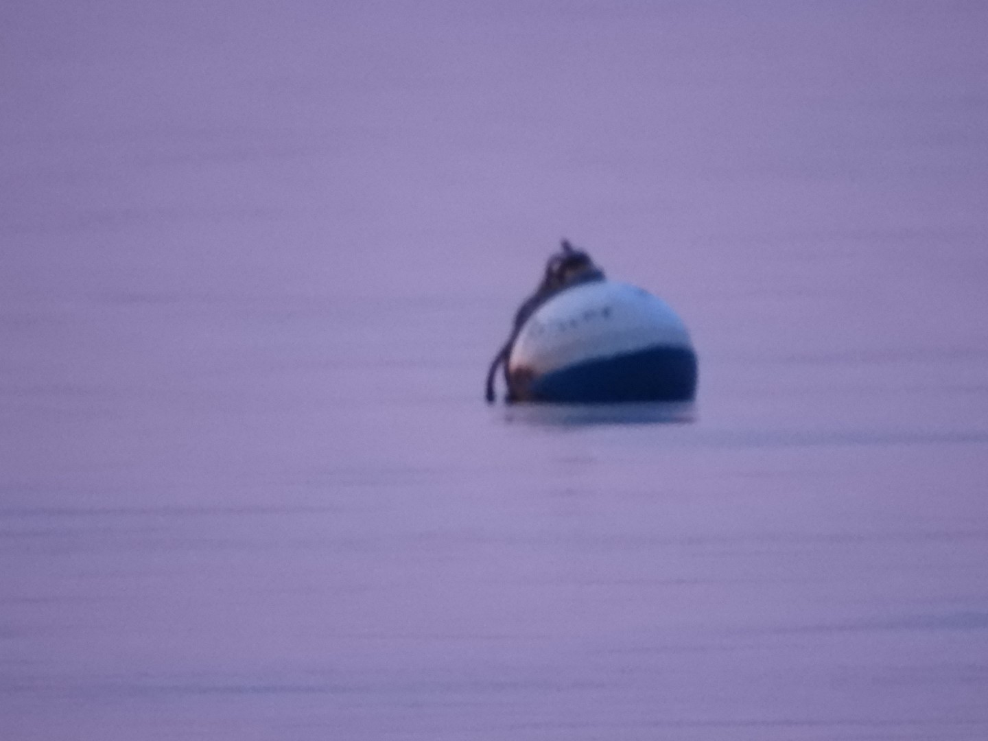 Sandy Point Beach RI 5 of 52 (#9880)