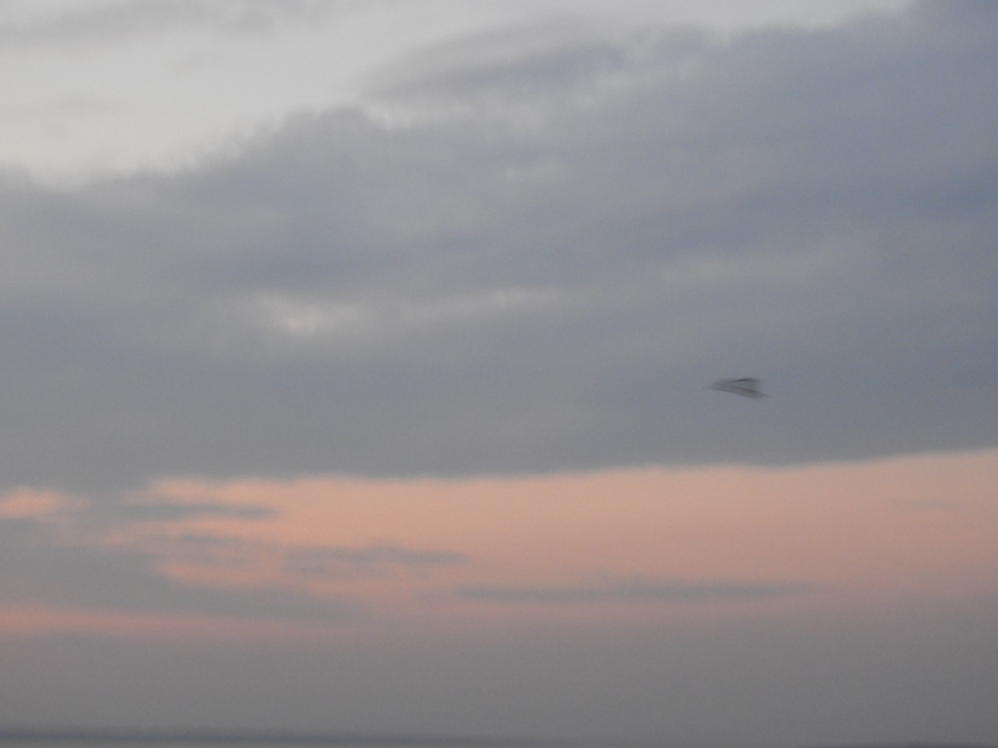 Sandy Point Beach RI 11 of 52 (#9886)