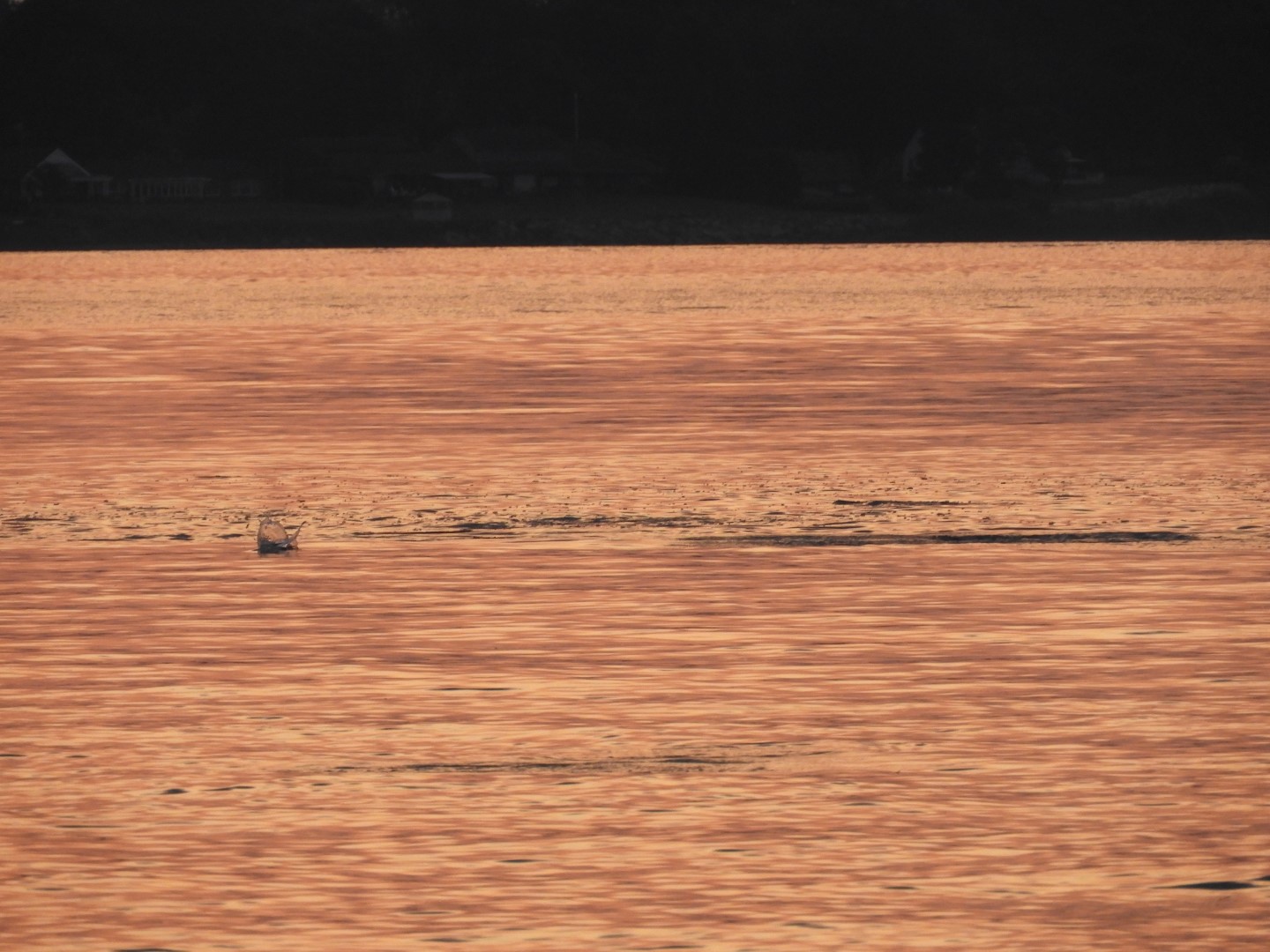 Sandy Point Beach RI 17 of 52 (#9892)