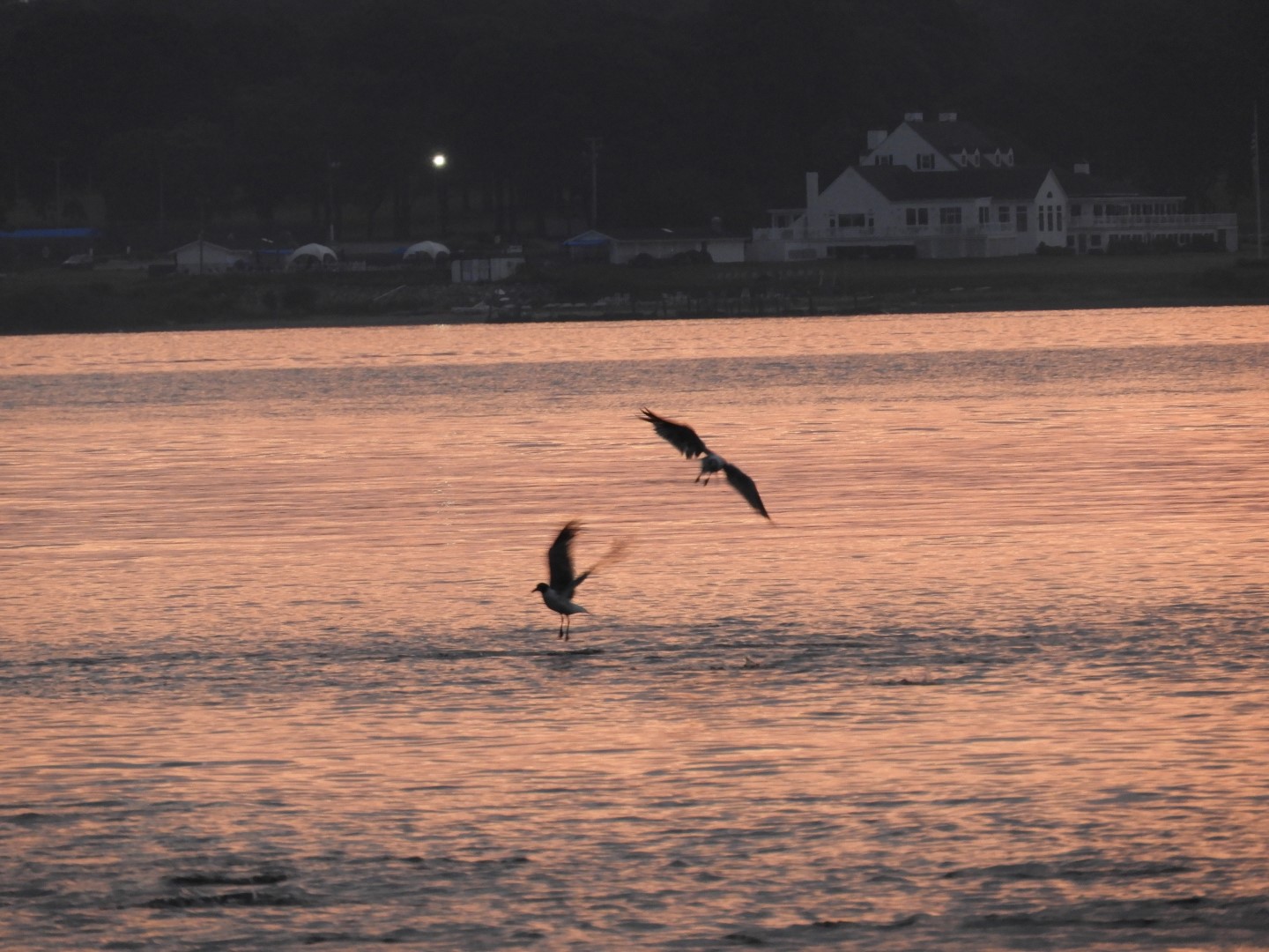 Sandy Point Beach RI 19 of 52 (#9894)