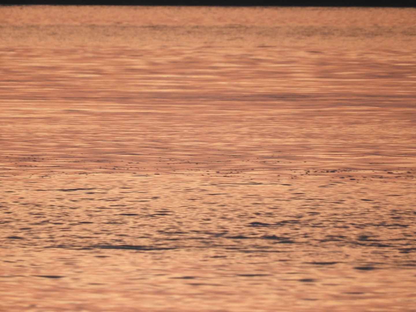 Sandy Point Beach RI 21 of 52 (#9897)