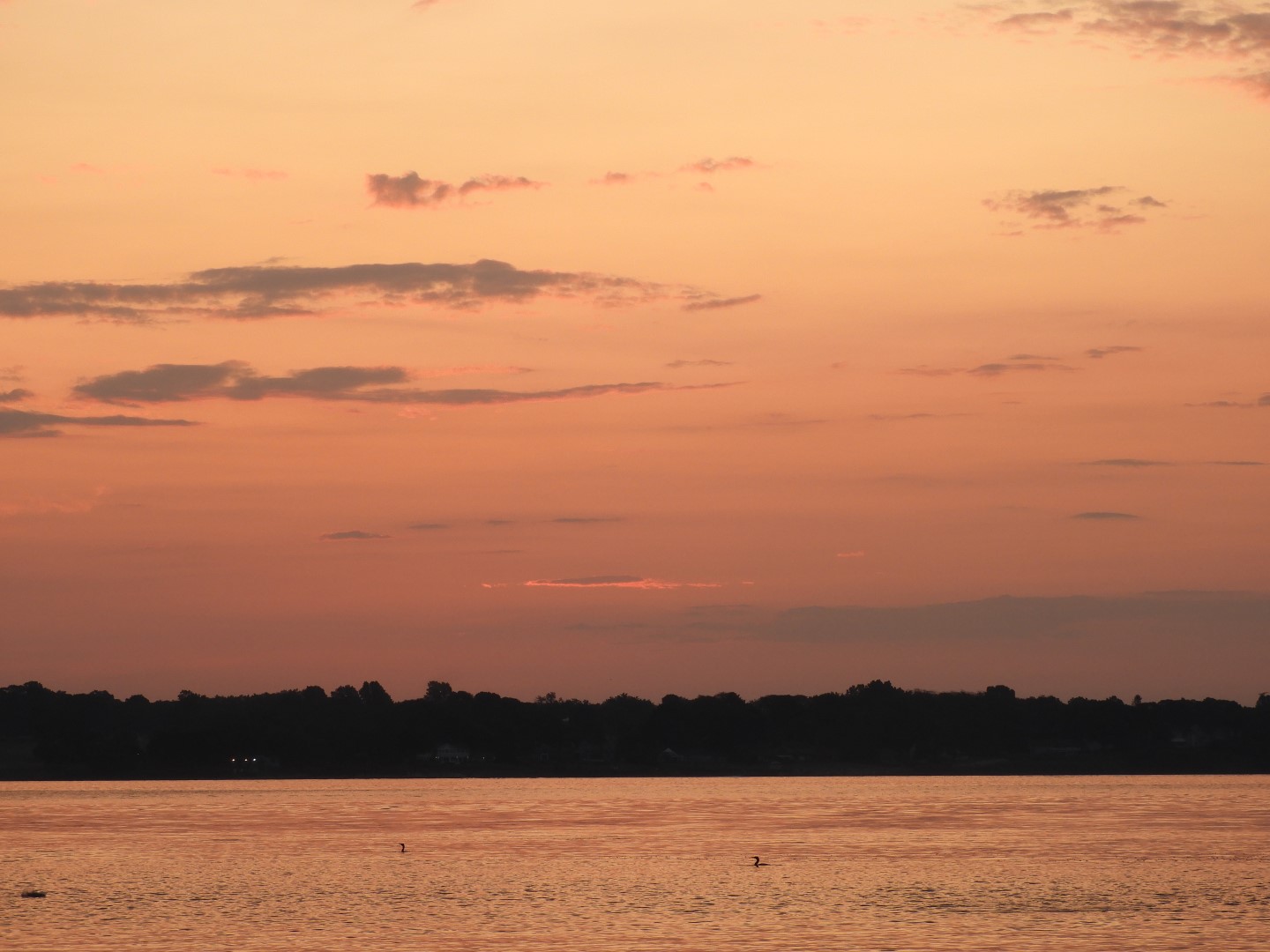 Sandy Point Beach RI 23 of 52 (#9899)