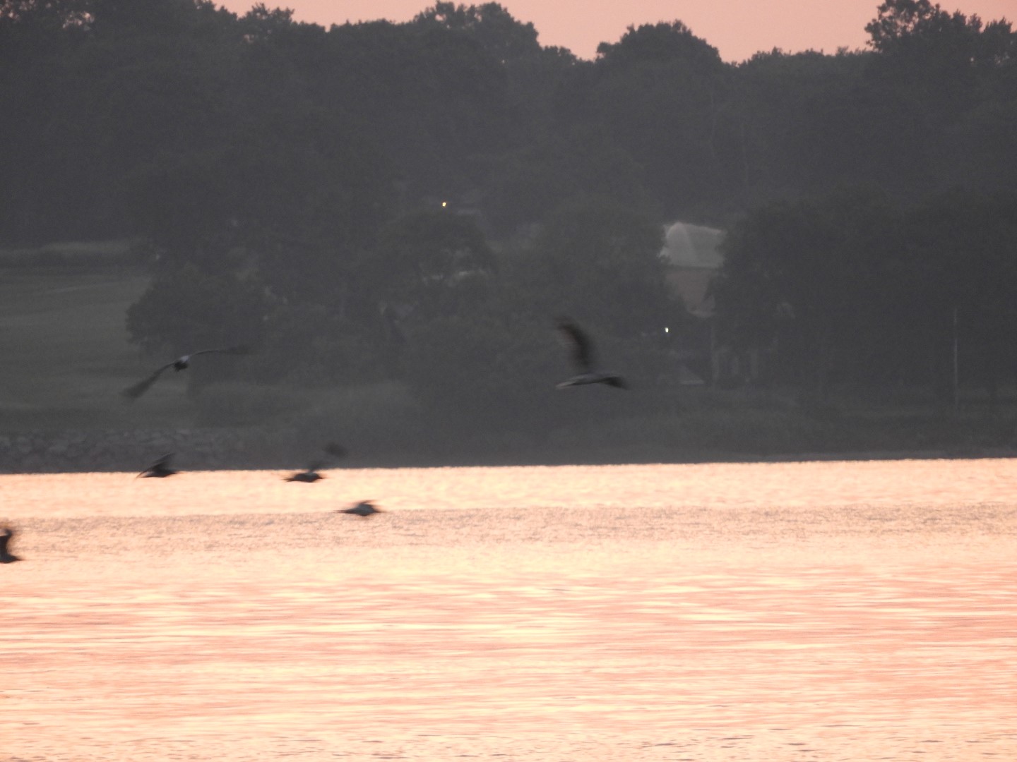 Sandy Point Beach RI 29 of 52 (#9905)