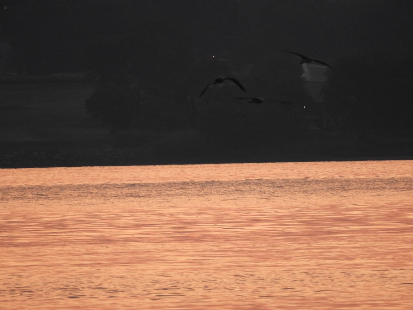 Sandy Point Beach RI 30 of 52 (#9906)
